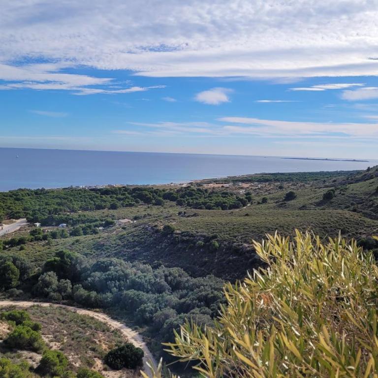 Casa Neroli ICONIC Gran Alacant - Two-Bedroom Apartment - 73