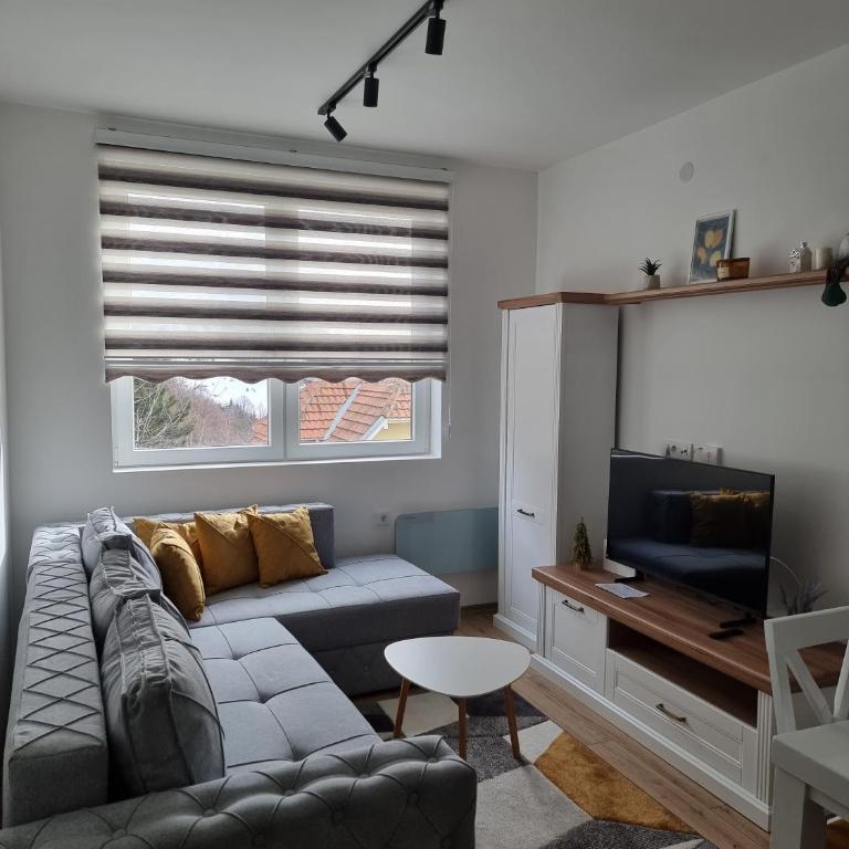 KopStar Apartment Kopaonik 19 - Apartman sa 1 Spavaćom Sobom - 15