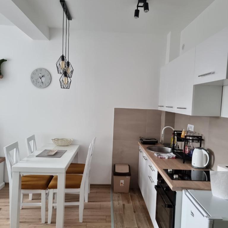 KopStar Apartment Kopaonik 19 - Apartman sa 1 Spavaćom Sobom - 4
