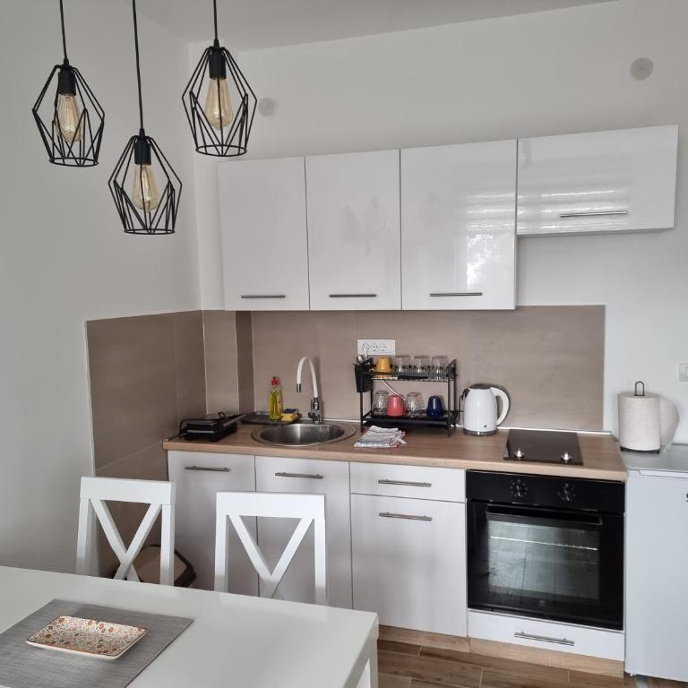 KopStar Apartment Kopaonik 19 - Apartman sa 1 Spavaćom Sobom - 3