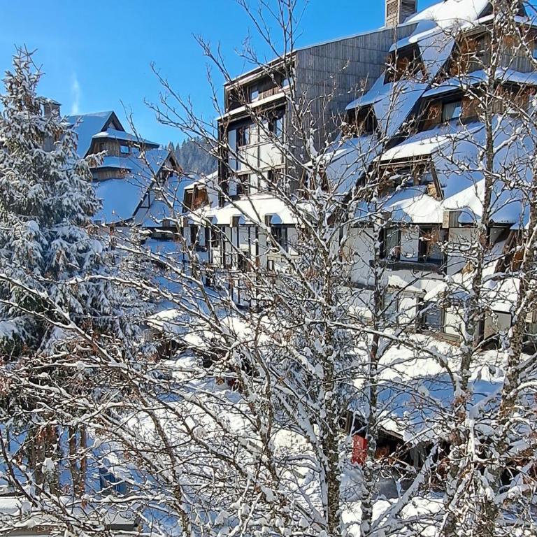 GALA Kop Apartman - Apartman sa 1 Spavaćom Sobom - 5