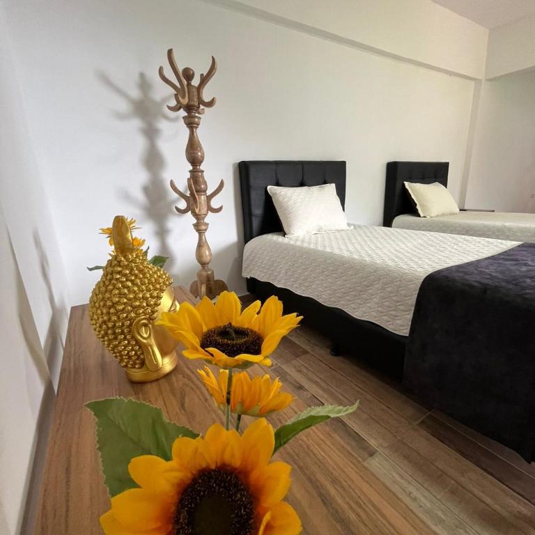 Ecohotel Sky Green Pereira - Family Room - 5