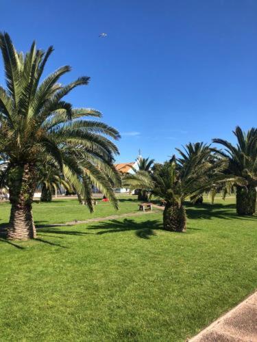 Apto esq 4 Mares, con parrillero y todas las comodidades - Apartamento de 1 dormitorio - 16