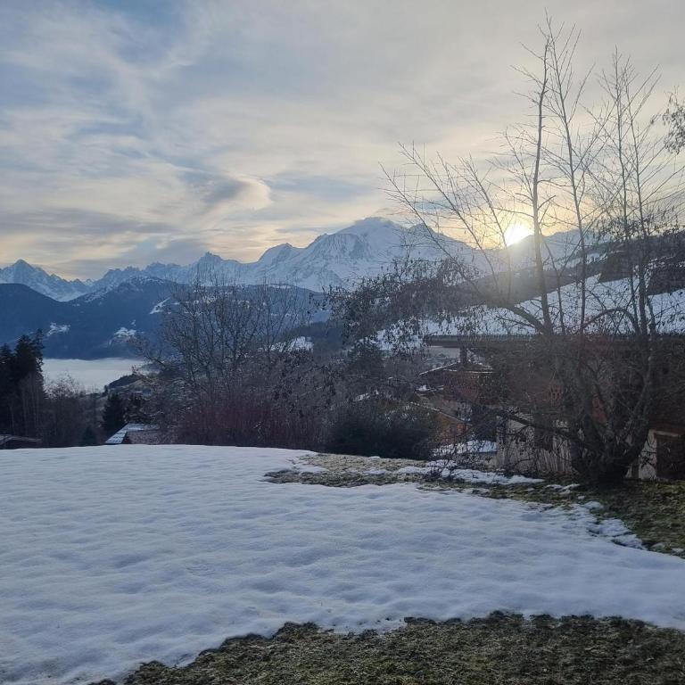 Charmant 3 pièces avec jardin, parking et proximité ski bus à 900m du village de Combloux - Appartement 2 Chambres - 13