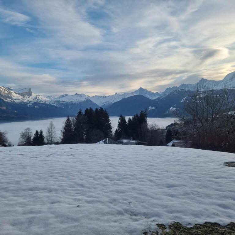 Charmant 3 pièces avec jardin, parking et proximité ski bus à 900m du village de Combloux - Appartement 2 Chambres - 14