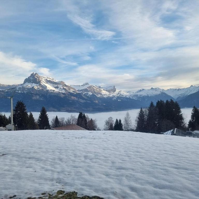 Charmant 3 pièces avec jardin, parking et proximité ski bus à 900m du village de Combloux - Appartement 2 Chambres - 15