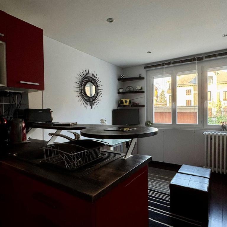 T2 lumineux avec garage et WiFi à Aix-les-Bains - FR-1-555-104 - Apartment - 8