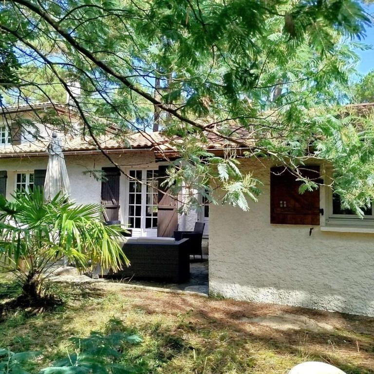 Villa familiale au calme avec jardin clos, proche océan et bassin, 8 personnes - Villa 3 Chambres - 1