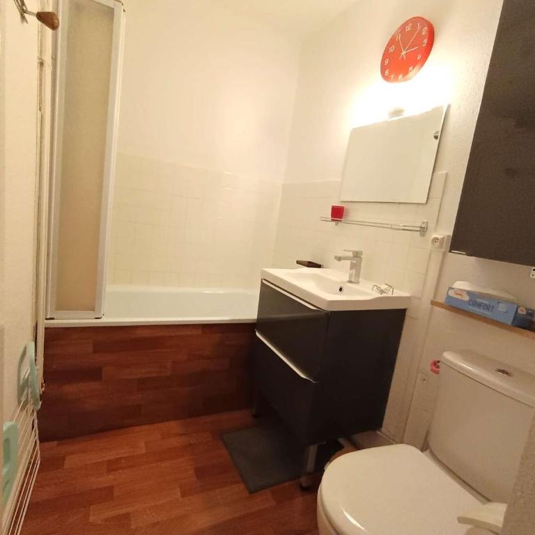Studio Cabine 6 Pers, Balcon Proche Pistes, St Lary Soul. - FR-1-457-373 - Studio - 12