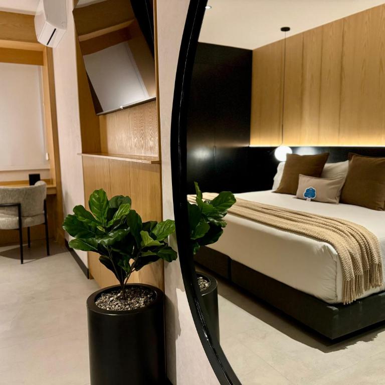 Hotel Aló Degollado - Standard Suite - 12