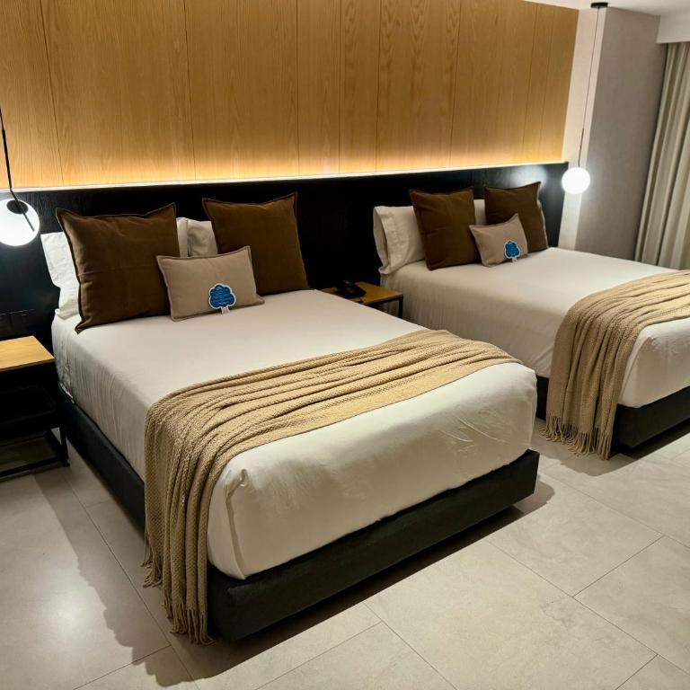 Hotel Aló Degollado - Standard Double Suite - 6
