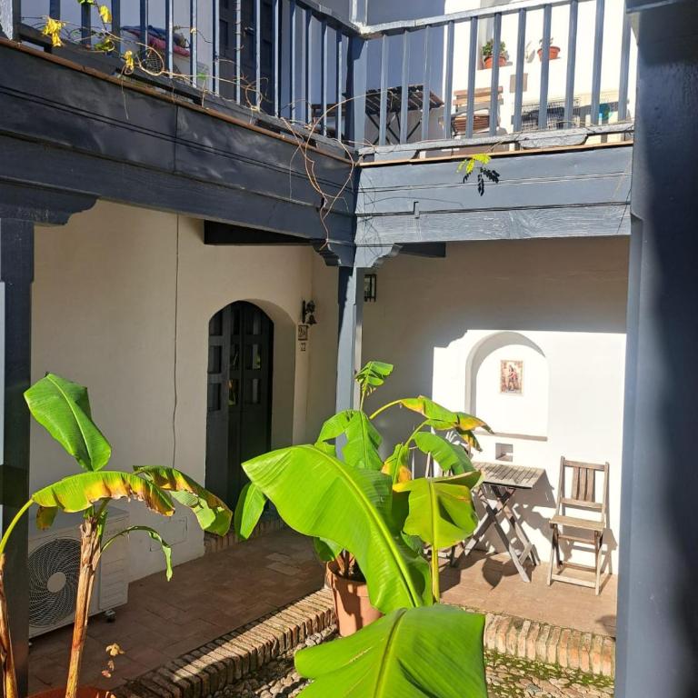 Corral Montelucía Siglo XVI - Apartamento de 1 dormitorio - 3