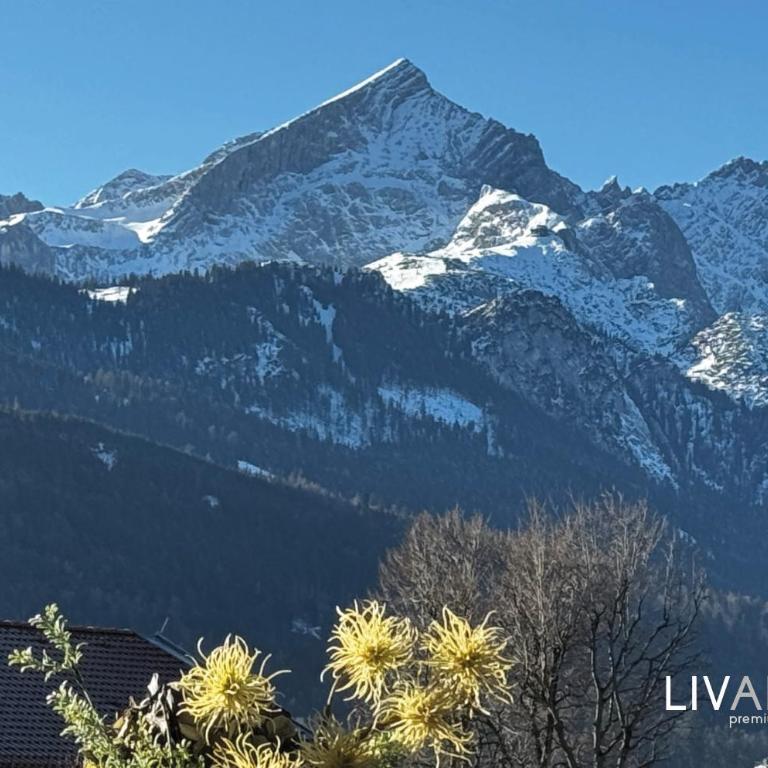 LIVALPIN Style - One-Bedroom Apartment with Balcony and Mountain View - 3