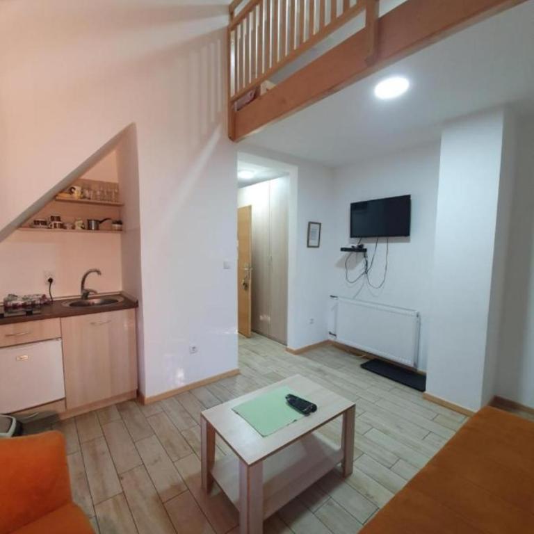 Apartmani Milutinovic - Apartman sa 1 Spavaćom Sobom - 1