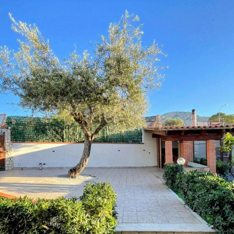 Ciachea Home Casa indipendente con parcheggio vicino Palermo e aeroporto - Ferienhaus mit 3 Schlafzimmern - 35