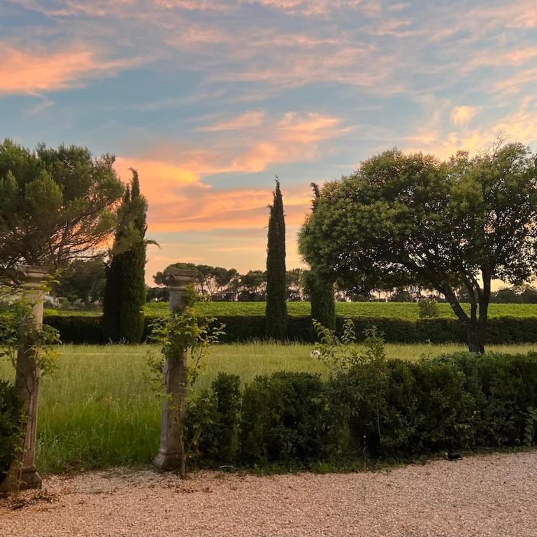 Le mas provençal d'Aurélie - Maison 4 Chambres - 53