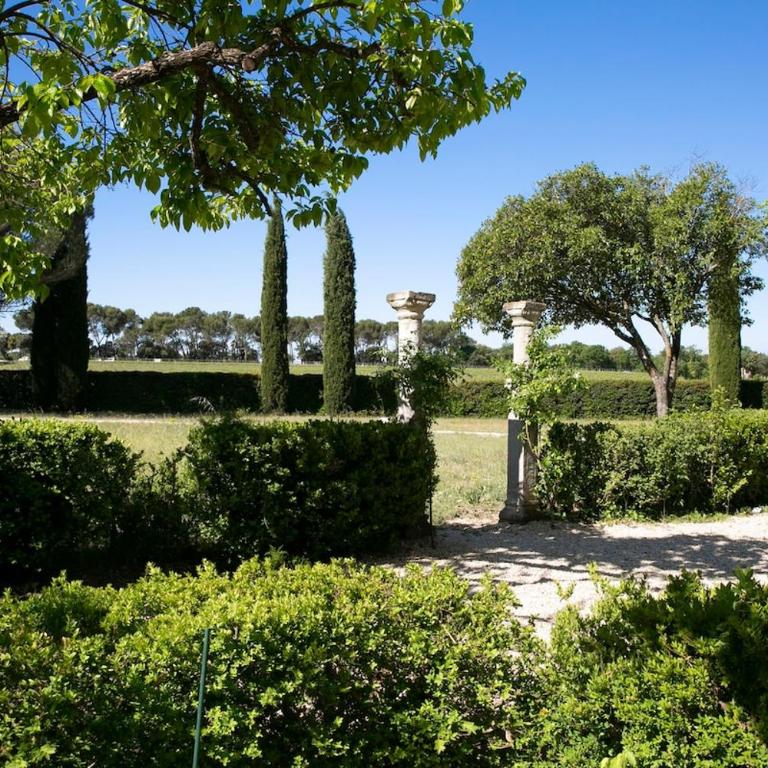 Le mas provençal d'Aurélie - Maison 4 Chambres - 9