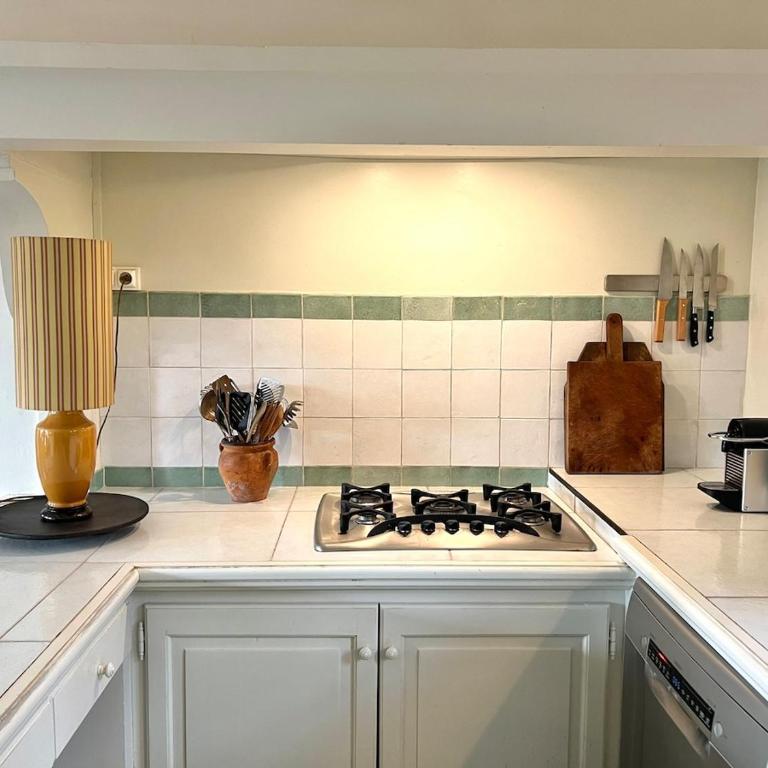 Le mas provençal d'Aurélie - Maison 4 Chambres - 13