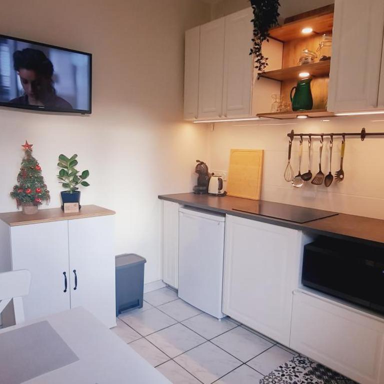 Appartement 3 étoiles au cœur d'Uriage les bains - Appartement 1 Chambre - 2