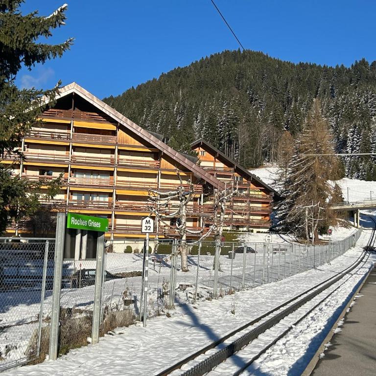 Central flat in Villars sur Ollon, Amethyste, for 4, with two double beds, balcony and 75m to ski-train - Apartment mit 1 Schlafzimmer - 2