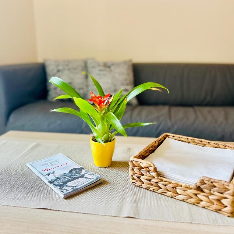 Cute apart with the garden - One-Bedroom Apartment - 1