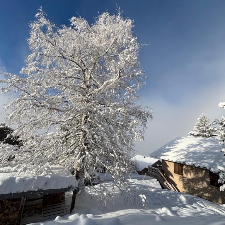 Chalet Rouge ou Blanc - Chalet - 56