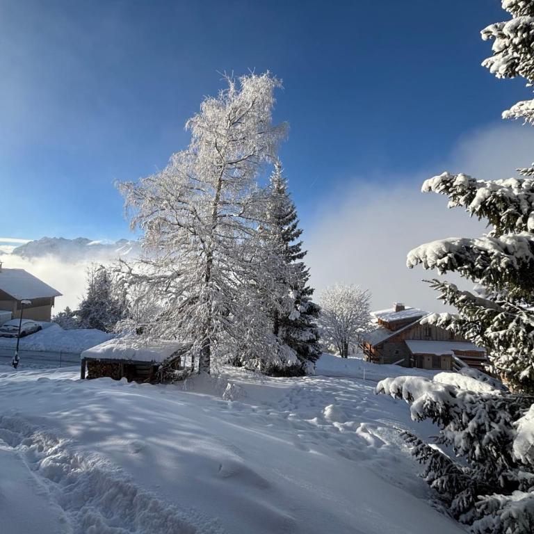 Chalet Rouge ou Blanc - Chalet - 54