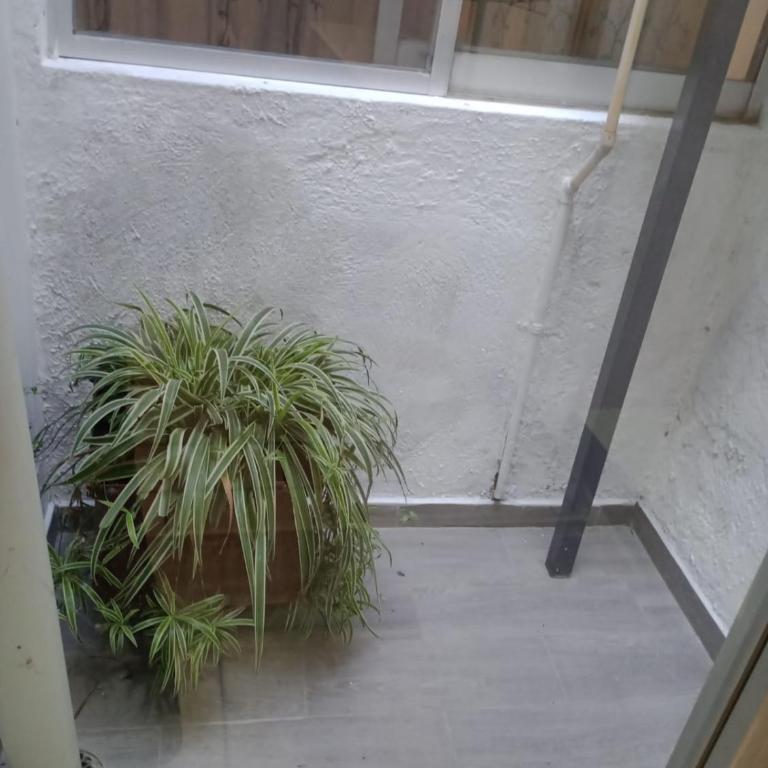 Departamento el REMANSO - Three-Bedroom Apartment - 12