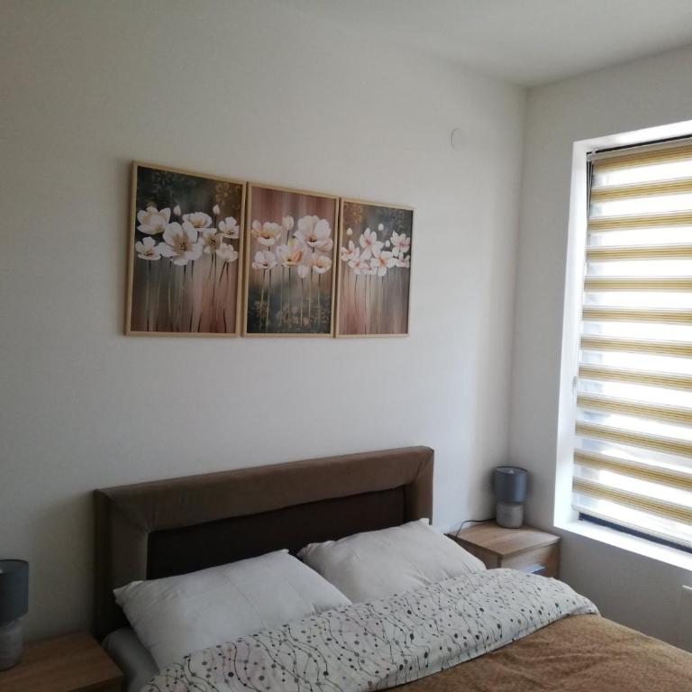 Mali Raj - One-Bedroom Apartment - 8