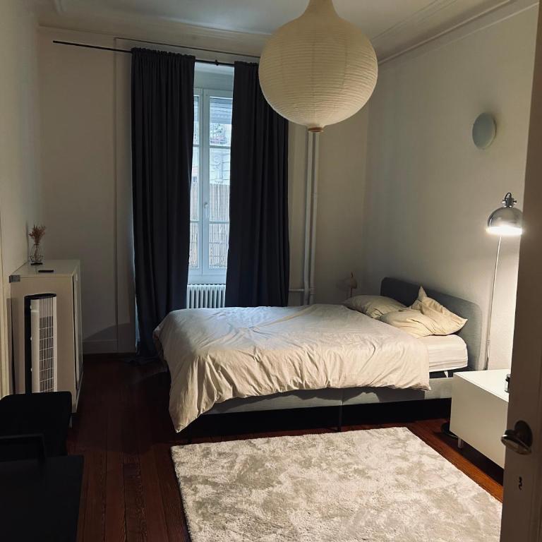 Grande chambre au bord du lac - Habitación Doble con patio - 6