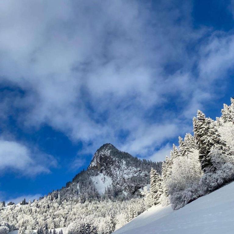 terrasse plus parking pour 8 personnes au ski à Torgon - Apartment mit 3 Schlafzimmern - 28