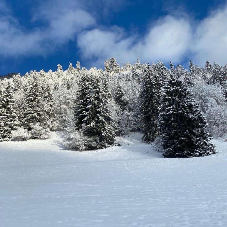 terrasse plus parking pour 8 personnes au ski à Torgon - Apartment mit 3 Schlafzimmern - 23