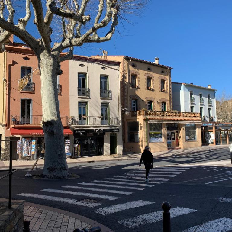 DUPLEX REP 10 COEUR de COLLIOURE - Appartement 3 Chambres - 9