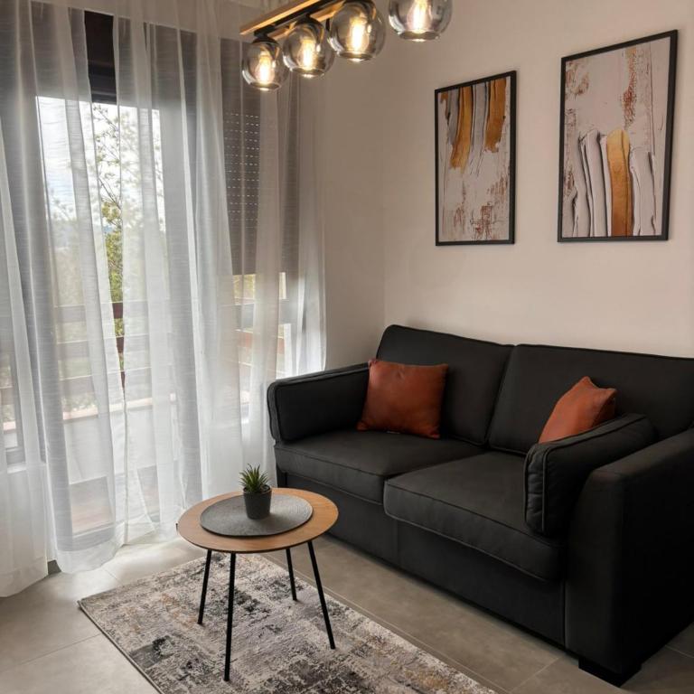 Apartman Kala Divčibare - Apartman sa 1 Spavaćom Sobom - 1