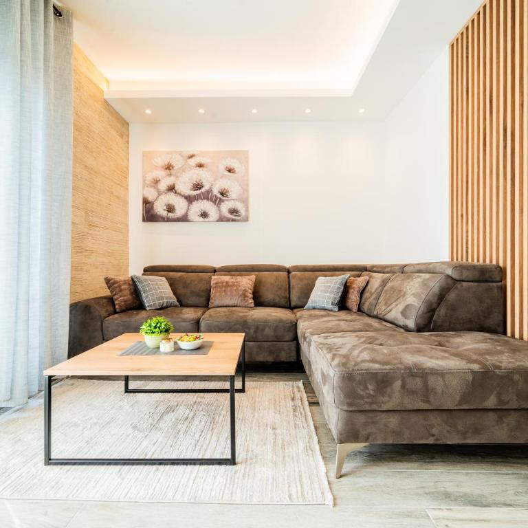 Vision apartmani Vrnjačka Banja - Porodični Apartman sa 2 Spavaće Sobe - 15