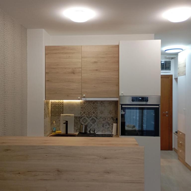 Merlin apartmani, Zlatibor - Studio Apartman s Balkonom - 5