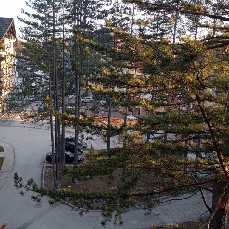 Merlin apartmani, Zlatibor - Deluks Apartman s 1 Spavaćom Sobom - 14