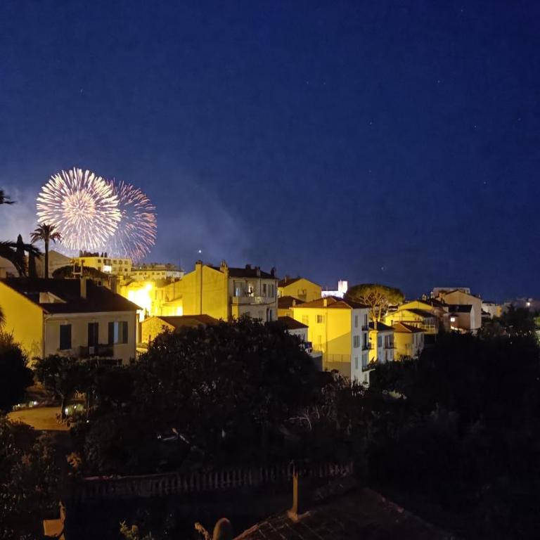 Charming apartment in Cannes - Appartement 1 Chambre - 22