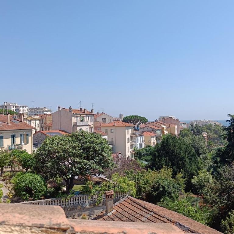 Charming apartment in Cannes - Appartement 1 Chambre - 24