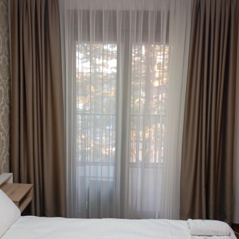 Merlin apartmani, Zlatibor - Deluks Apartman s 1 Spavaćom Sobom - 11