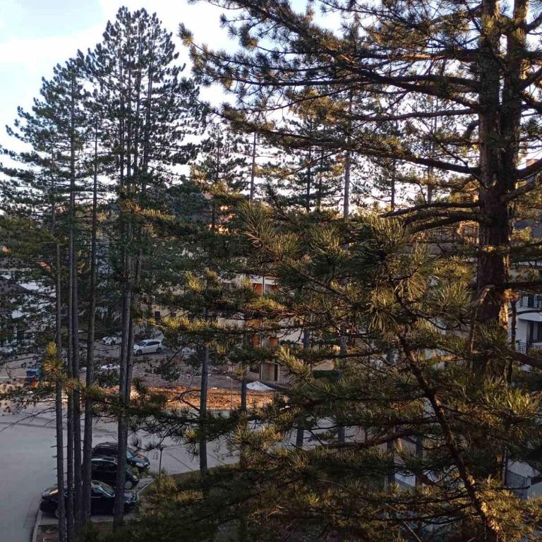 Merlin apartmani, Zlatibor - Deluks Apartman s 1 Spavaćom Sobom - 19