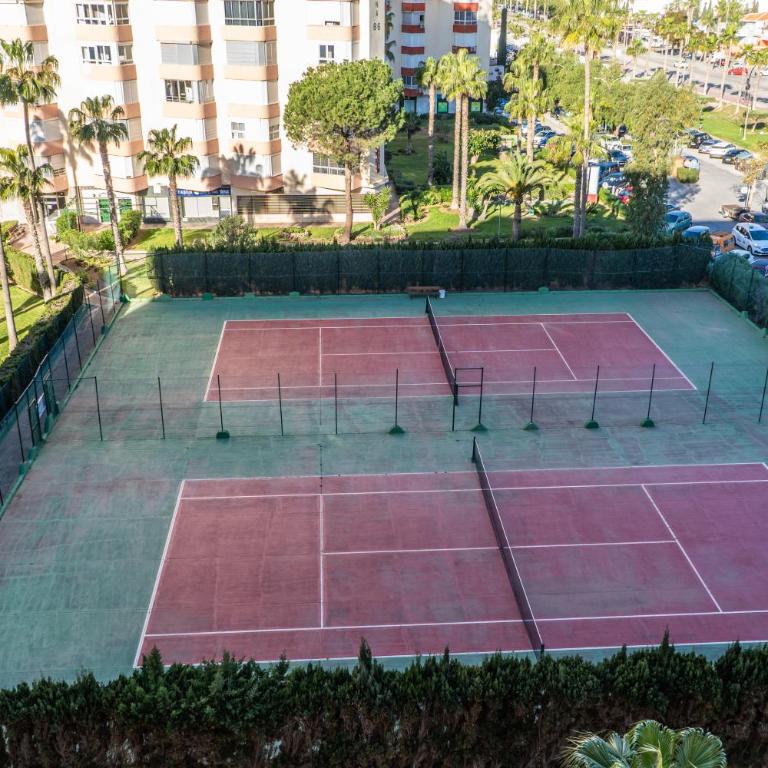 Estudio - Apartamento - 24