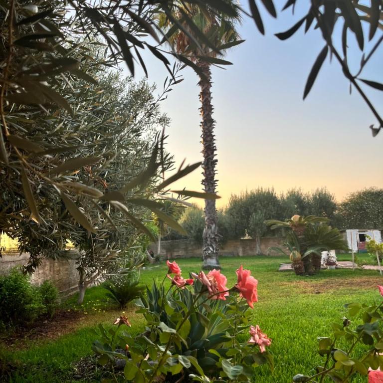 Villa Valentina casa vacanze fontane Bianche - Two-Bedroom Villa - 21