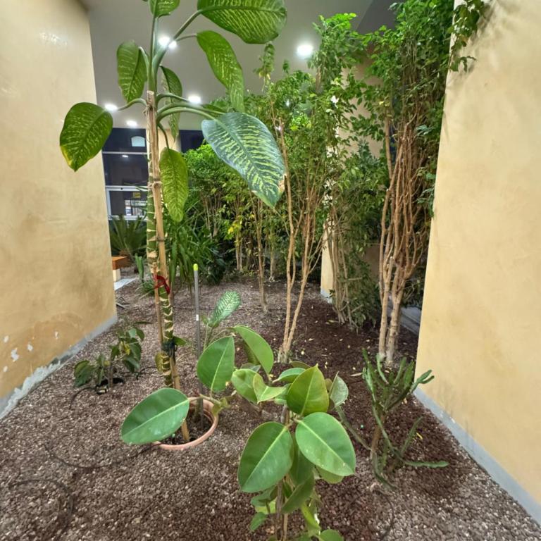 Torre Sole Fiumara - Appartamento con 2 Camere da Letto - 26