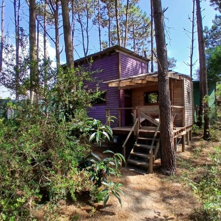 Las Vecchias - Casa de 2 dormitorios - 24