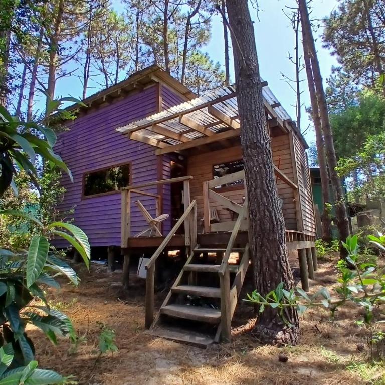 Las Vecchias - Casa de 2 dormitorios - 1