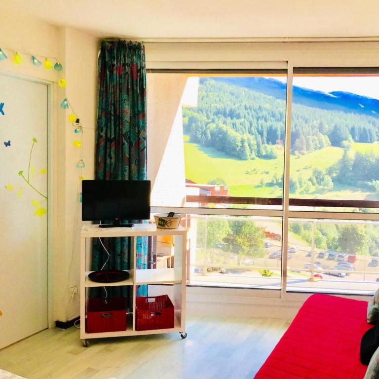 Résidence Les Aloubiers - Très joli deux pièces pied des pistes MAE-3544 - Appartement - 1