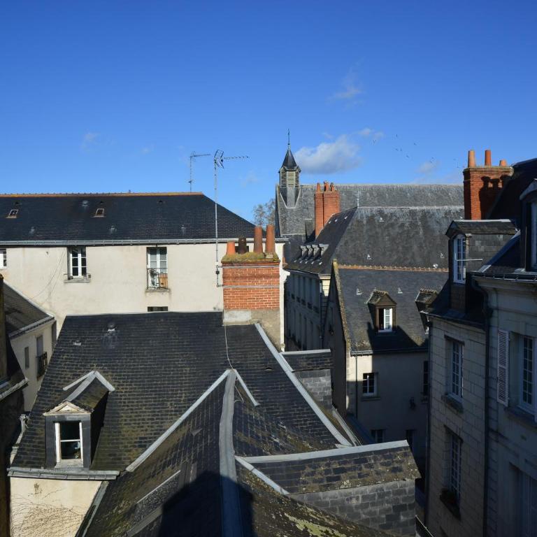 Tours hypercentre - Vieux Tours - Apartment - 2