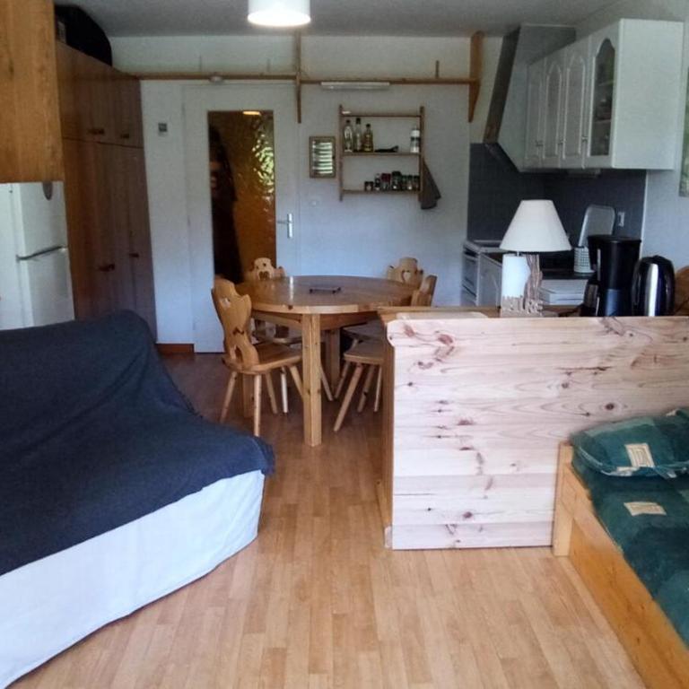 Résidence Les Quatres Saisons - STUDIO COIN MONTAGNE MAE-4054 - Studio - 1