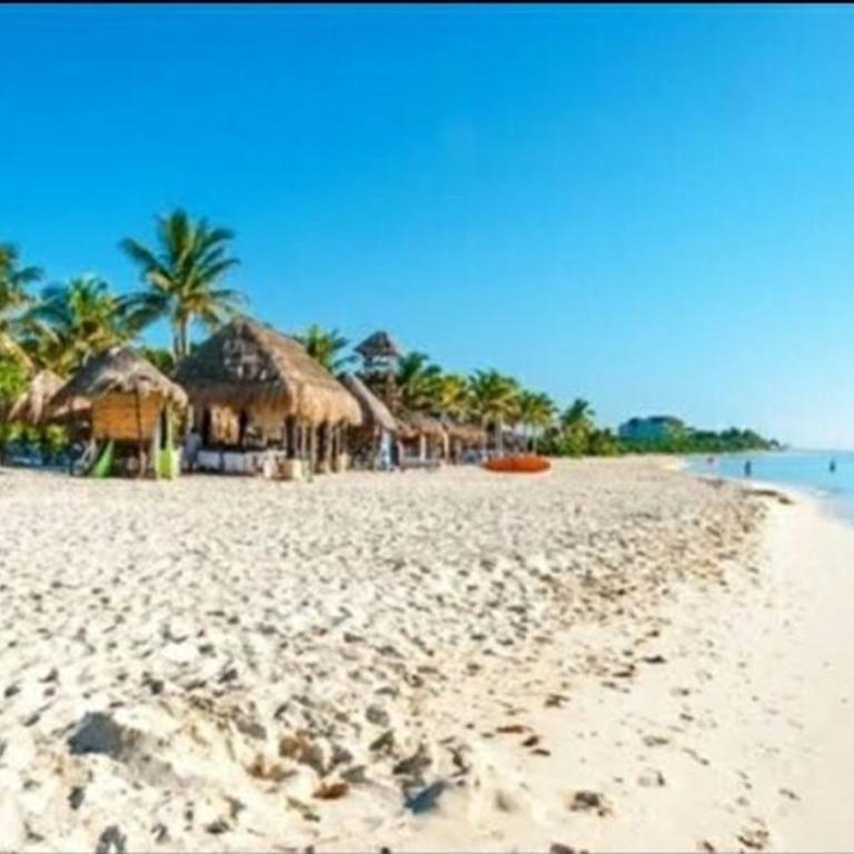 Fabulous studio in Playa del Carmen very central - One-Bedroom Apartment - 10